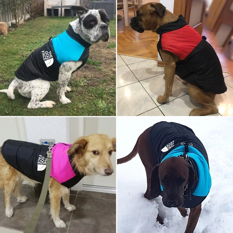 Roupas de Cão à Prova de Água e Quentes Casaco de Animal de Estimação Colete de Inverno Com Forro Zíper Jaqueta Roupas para Cães Pequenos Médios e Grandes O Conjunto Dog Face