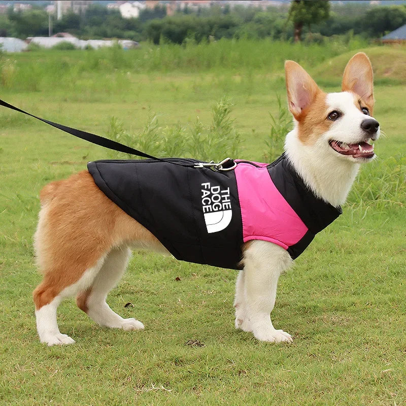 Roupas de Cão à Prova de Água e Quentes Casaco de Animal de Estimação Colete de Inverno Com Forro Zíper Jaqueta Roupas para Cães Pequenos Médios e Grandes O Conjunto Dog Face